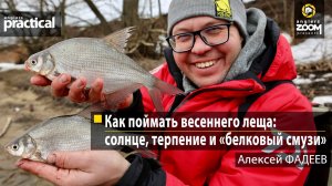 Как поймать весеннего леща: солнце, терпение и «белковый смузи». Алексей Фадеев