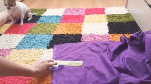 DIY: как сшить простой ошейник для собаки своими руками?))?