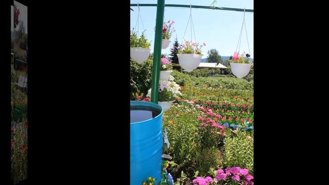 Мой веселый огород смотреть онлайн