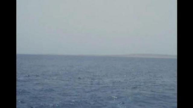 Подводный мир