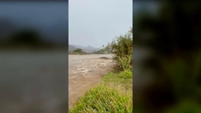 سيول قوية غرب السعودية ، القنفذه смотреть онлайн