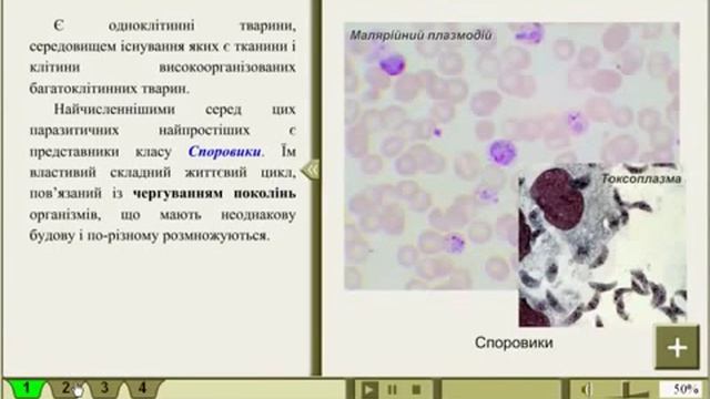 Биология смотреть онлайн
