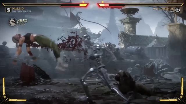 MORTAL KOMBAT 11 Endoskeleton Terminator Brutality & All Victory Poses MK11 смотреть онлайн