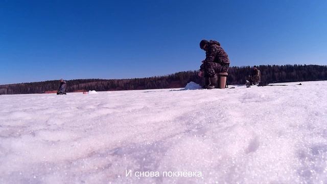 Судак в Сташково смотреть онлайн