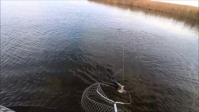 На границе осени и зимы. С воблерами за щукой. Личный рекорд. смотреть онлайн