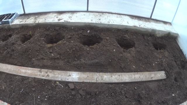 ПЕРЕЦ. Посадка рассады в теплицу. смотреть онлайн