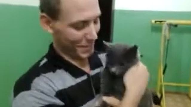 Кот нытик смотреть онлайн