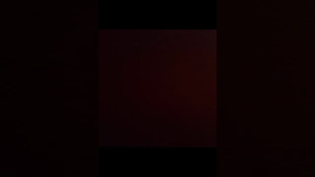 кальмары в томатном соусе