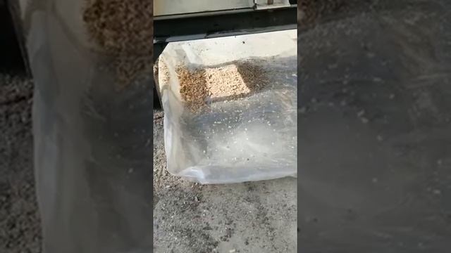 Молотковая мини дробилка по камню кости зерну