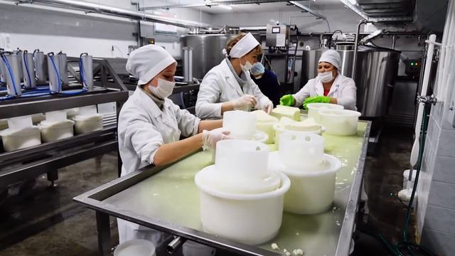 Исаклинский сыр и другие молочные продукты от с/п Красный Ключ смотреть онлайн