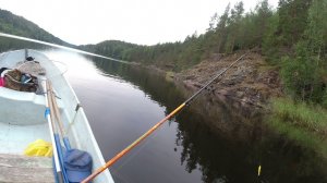 Игра воблера  Cotton Cordell Ripplin Red Fin