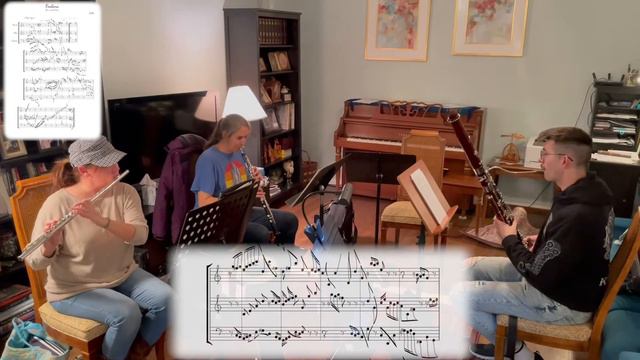 'Foalana' live performance смотреть онлайн