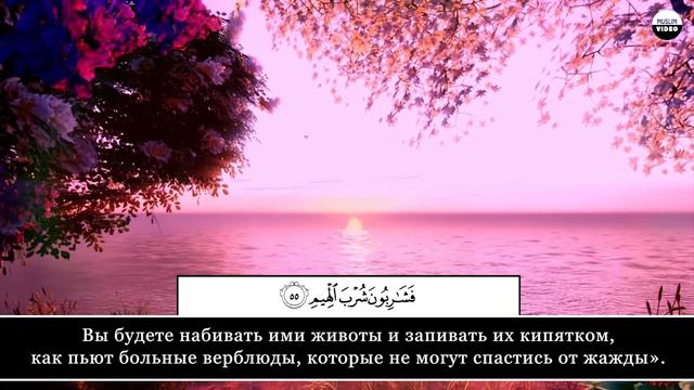 Hussamuddin Abbadi. 56 Аль-Вакиа (Событие) смотреть онлайн