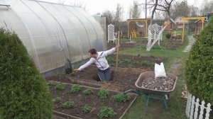 6 соток 26 апреля 2023 год Хроника углубилась в посадку Шарафуги