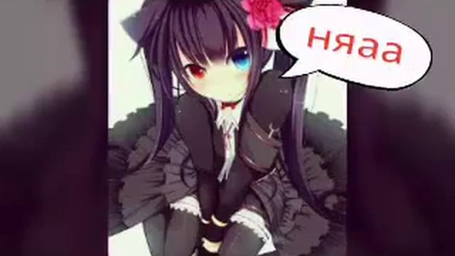 Домашние киски смотреть онлайн