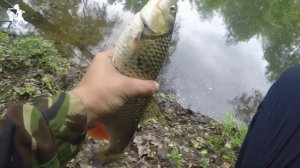 Ловля голавля на копию майского жука. Выпуск #1