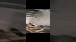 Хонда Цивик 4 Д замена переднего левого амортизатора.