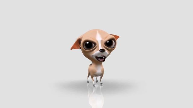 Bombo Dog - Chihuahua miedoso - Fearful dog смотреть онлайн