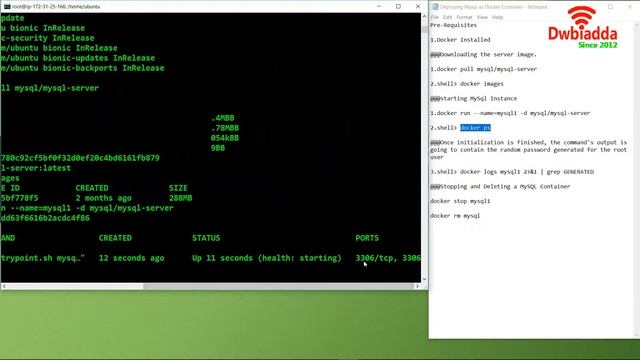 How to deploy MySql as docker container | Docker tutorial смотреть онлайн