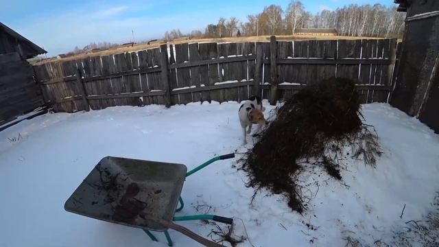 У НАС ПОТОП! Весна в конце декабря. Солнечная панель заработала! Посылки от подписчиков и не только смотреть онлайн