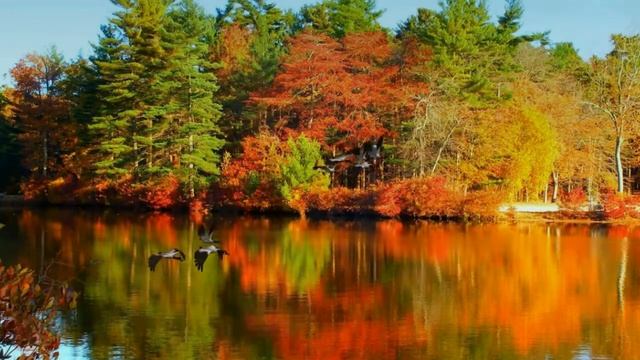 #творчество #хобби #Nina_Mircheva ОСЕНЬ ЛЕТЯТ ГУСИ смотреть онлайн