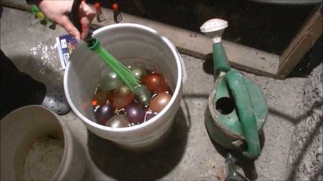 100 FROZEN ORBS - How to Make FROZEN MARBLES смотреть онлайн