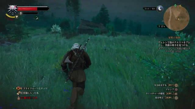 【ウィッチャー３】 #35 ~しゃけ~ 金切り鳥 (THE WITCHER3 WILD HUNT) смотреть онлайн
