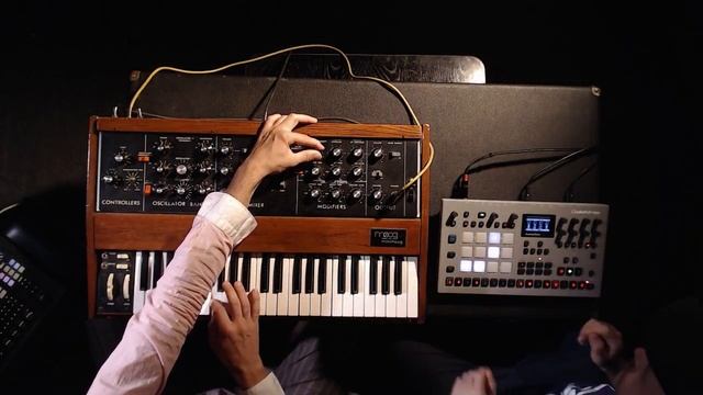 skinnerbox - sofa #4 (minimoog, elektron analog rytm) смотреть онлайн