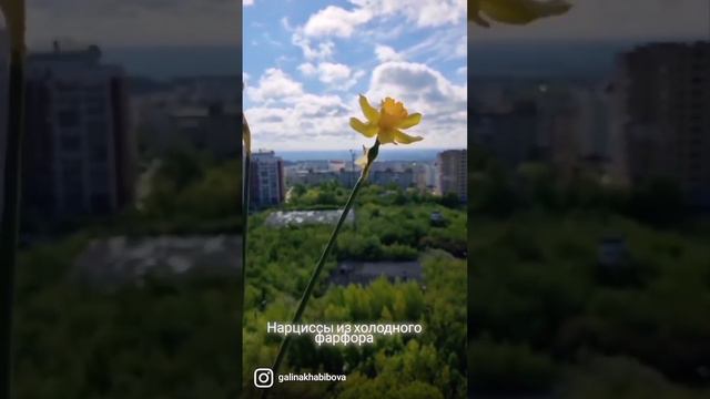 Цветы из холодного фарфора смотреть онлайн