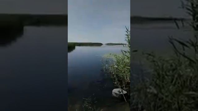 Дикая природа Лысогорки (Лысая Гора), лывач, Беленькое, плавни смотреть онлайн