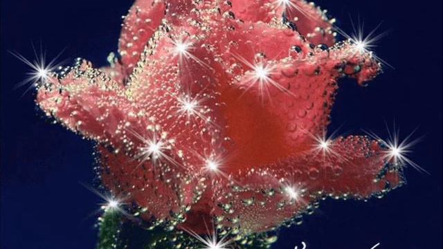 красочно. для дорогих. с праздником. смотреть онлайн