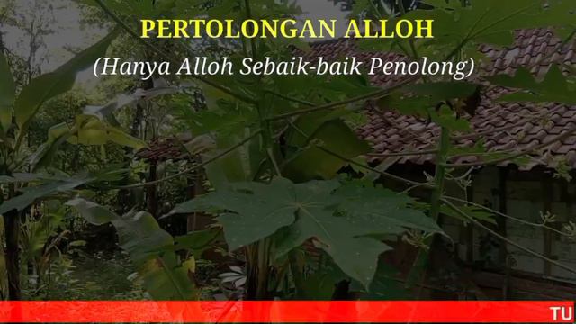 MUKJIZAT DZIKIR HASBUNALLOH, PERTOLONGAN ALLAH DEKAT, DOSA DIAMPUNI, REZEKI MELIMPAH, HAJAT KABUL