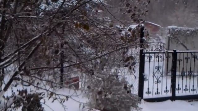 Когда сосед идиот :) смотреть онлайн