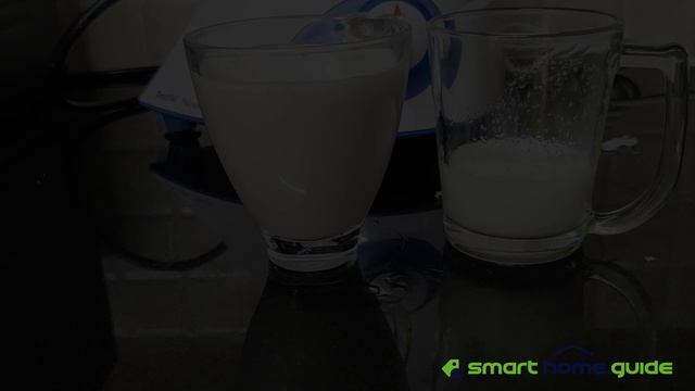 Preethi Blue Leaf Mixer Grinder Review смотреть онлайн