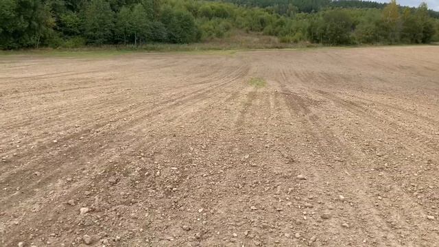 Nokta Makro Simplex Plus против ВЫБИТОГО ПОЛЯ #металлоискатель #коп2022  #поискклада #кладоискатель