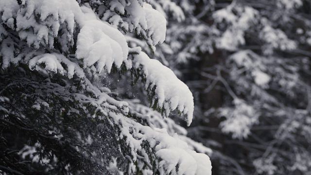 Come scattare una foto GRANDANGOLARE con un TELE смотреть онлайн