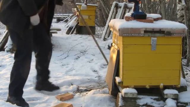 16 рамочный лежак. смотреть онлайн
