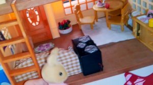 Необычное утро Сильвания фэмили.