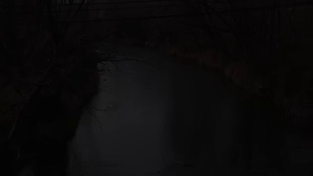 Ropica Polska смотреть онлайн