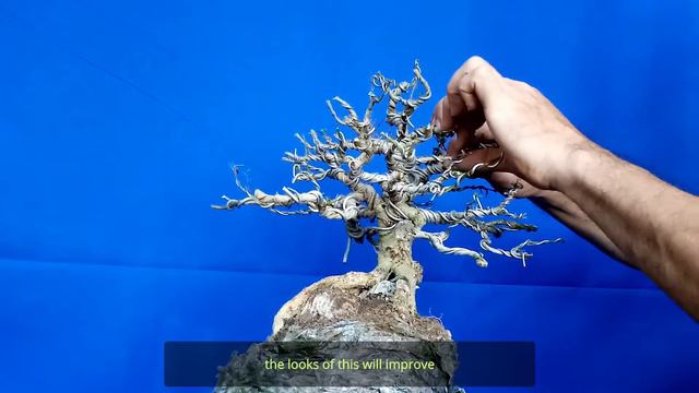 HOW TO PUT WIRE IN OUR BONSAI / PAANO MAG LAGAY NG WIRE NG BONSAI смотреть онлайн