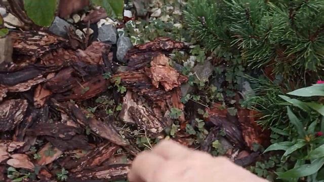 РОКАРИЙ своими руками. С Чего начать?. Отвечаю на вопросы! смотреть онлайн