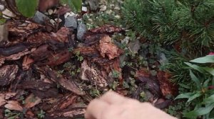 РОКАРИЙ своими руками. С Чего начать?. Отвечаю на вопросы!