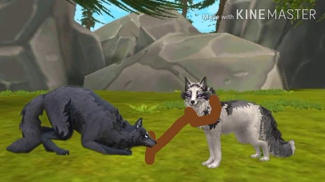 |Клип Краш|| Wild Craft смотреть онлайн