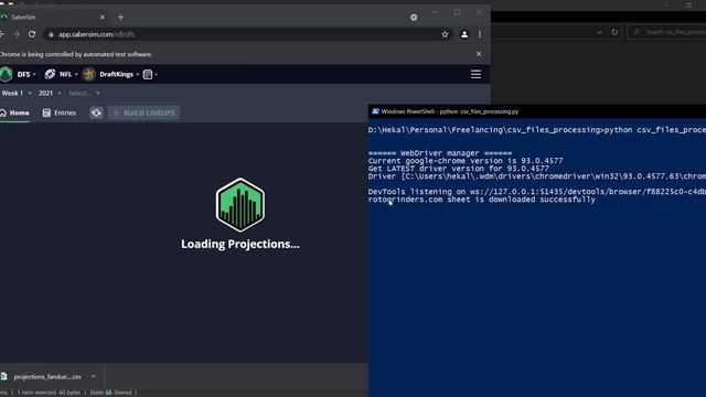 Selenium Bot for downloading files смотреть онлайн