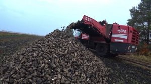 РАБОТА СВЕКЛОУБОРОЧНОГО  КОМБАЙНА (holmer Grimme Rexor 620)/НИКОЛАЕВ РУСЛАН