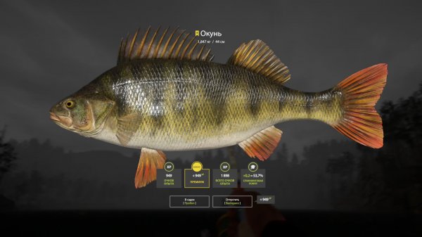 Русская Рыбалка 4 [PC 2018]  Будем собирать новый спиннинг