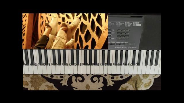 Rowdy Baby on piano with notes|Karaoke |Tutorial at end|Dhanush|sai pallavi | Maari 2 | Casio 860 I смотреть онлайн