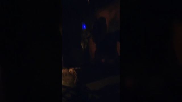 комната страха в парке Горького смотреть онлайн