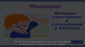 Подробное описание лука сорта Стурон и нюансы выращивания для хорошего урожая