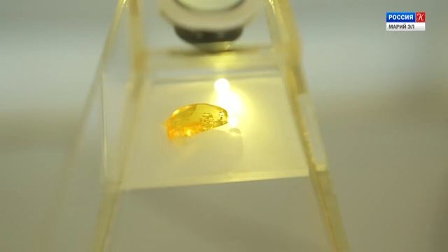 Доисторические насекомые в янтаре смотреть онлайн